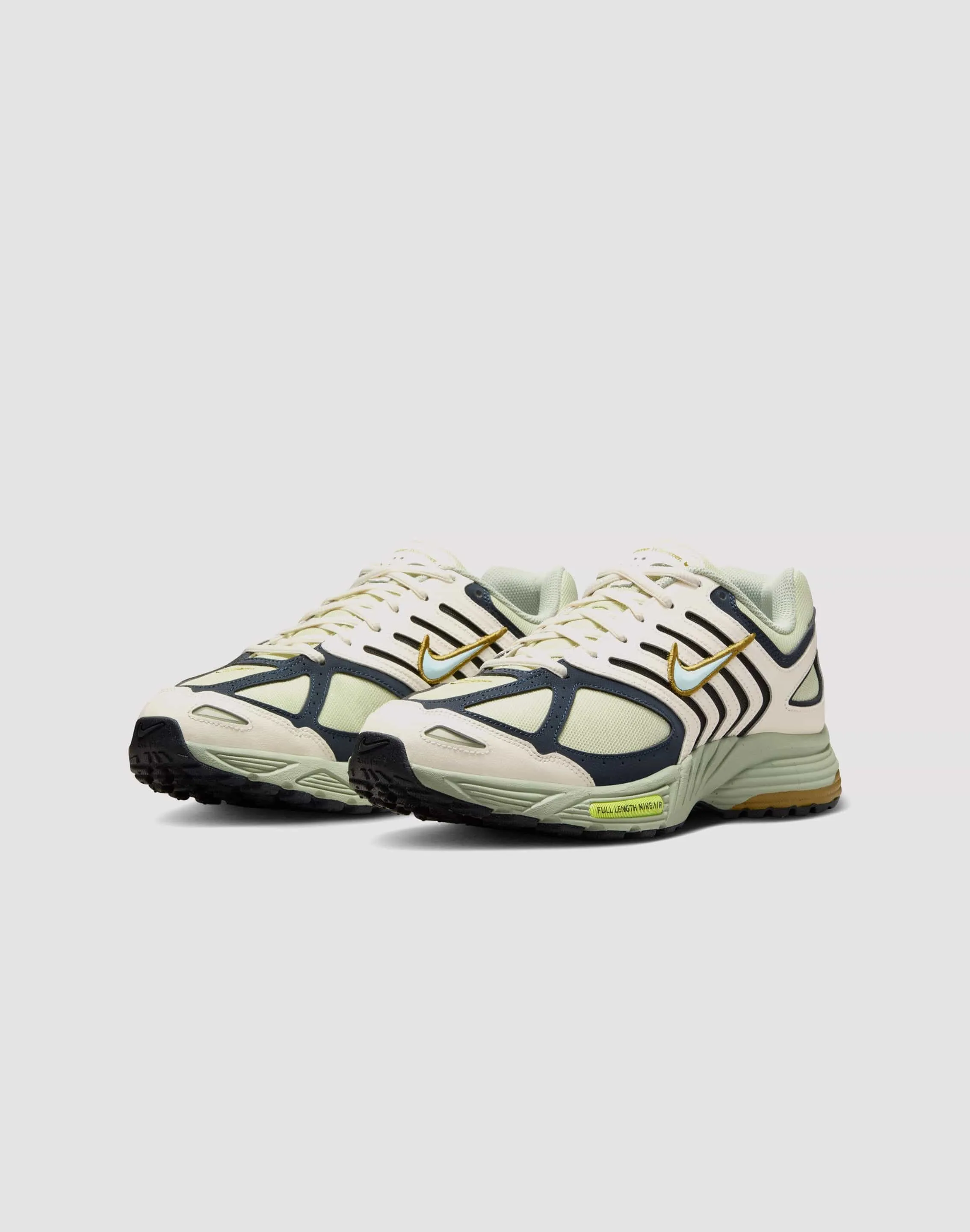 Nike Air Pegasus 2005 Travel Light