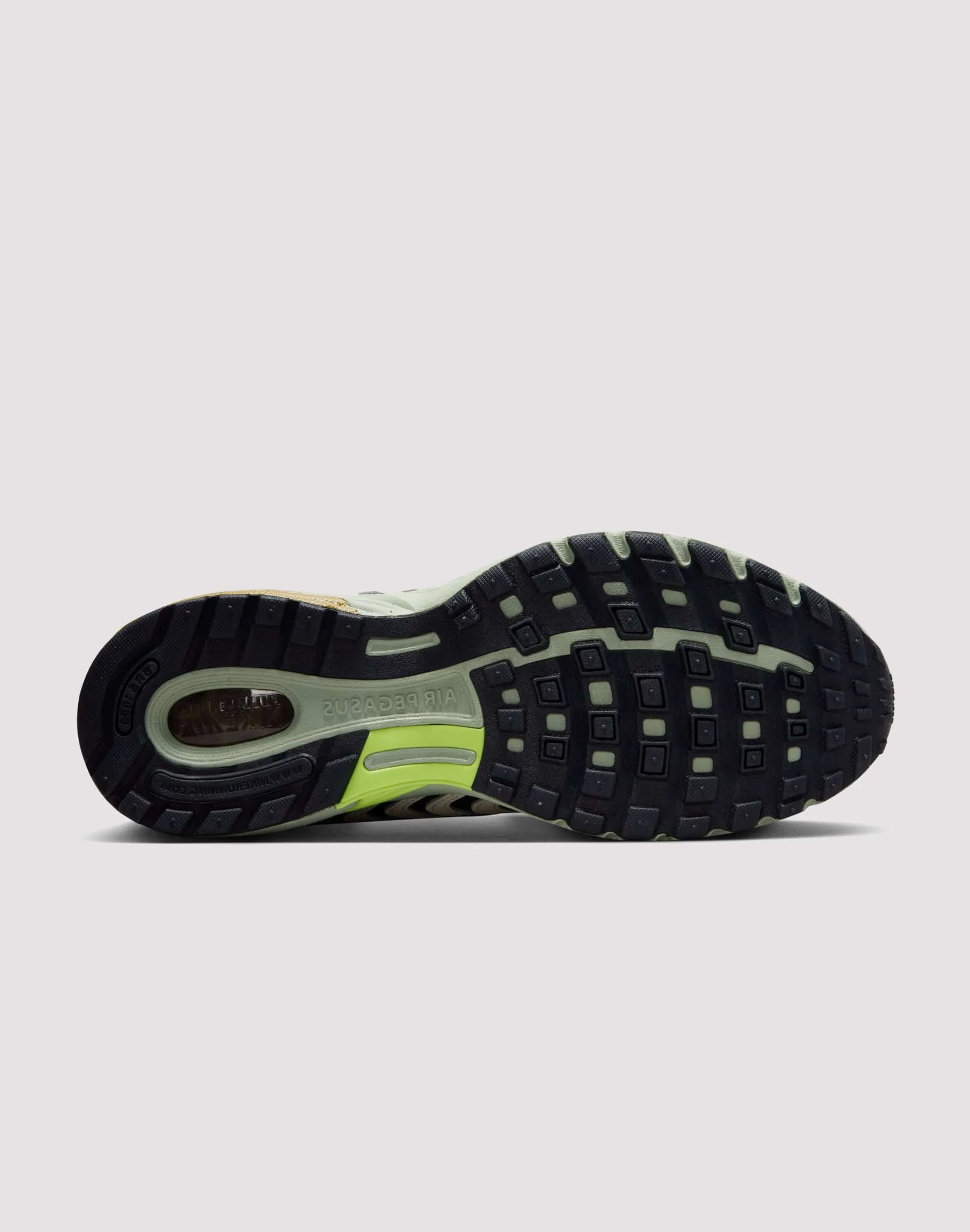 Nike Air Pegasus 2005 Everyday