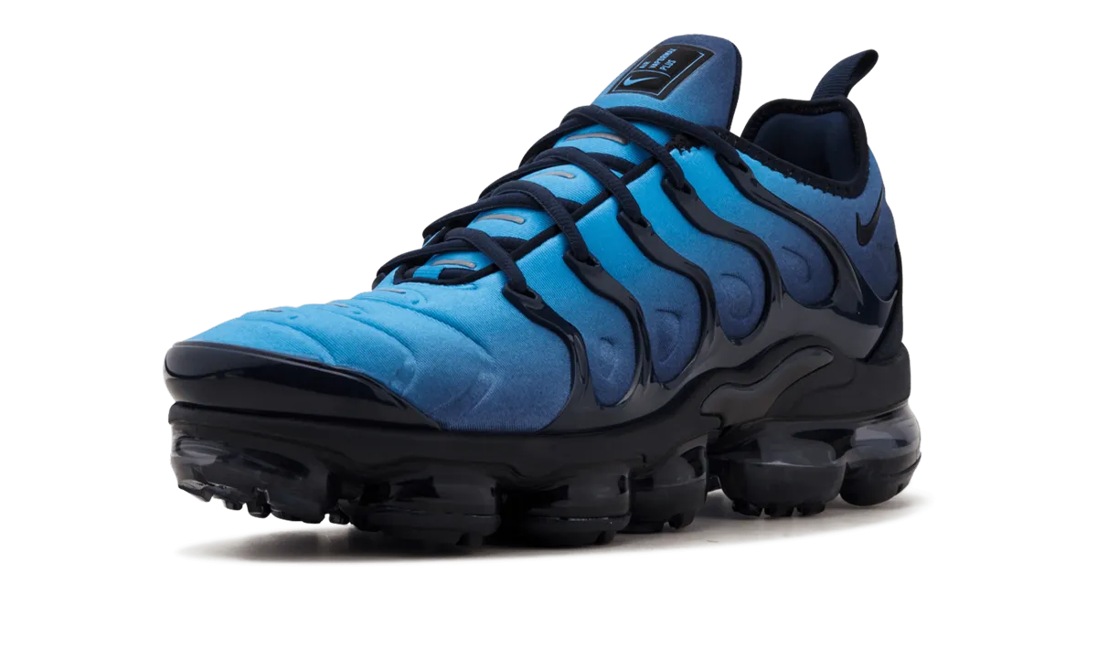 Air Vapormax Plus "Obsidian" Wear resistant