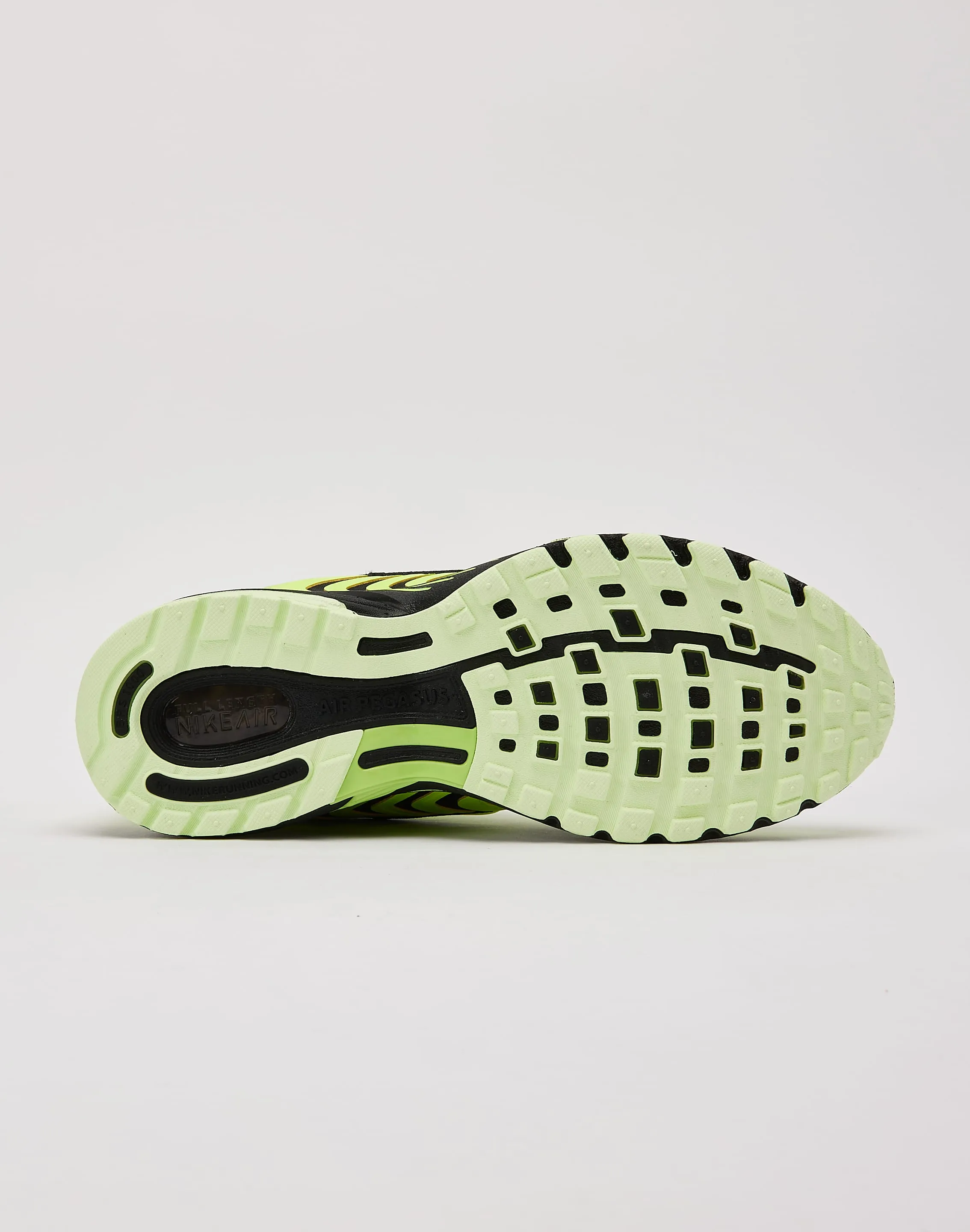 Casual Nike Air Pegasus 2005