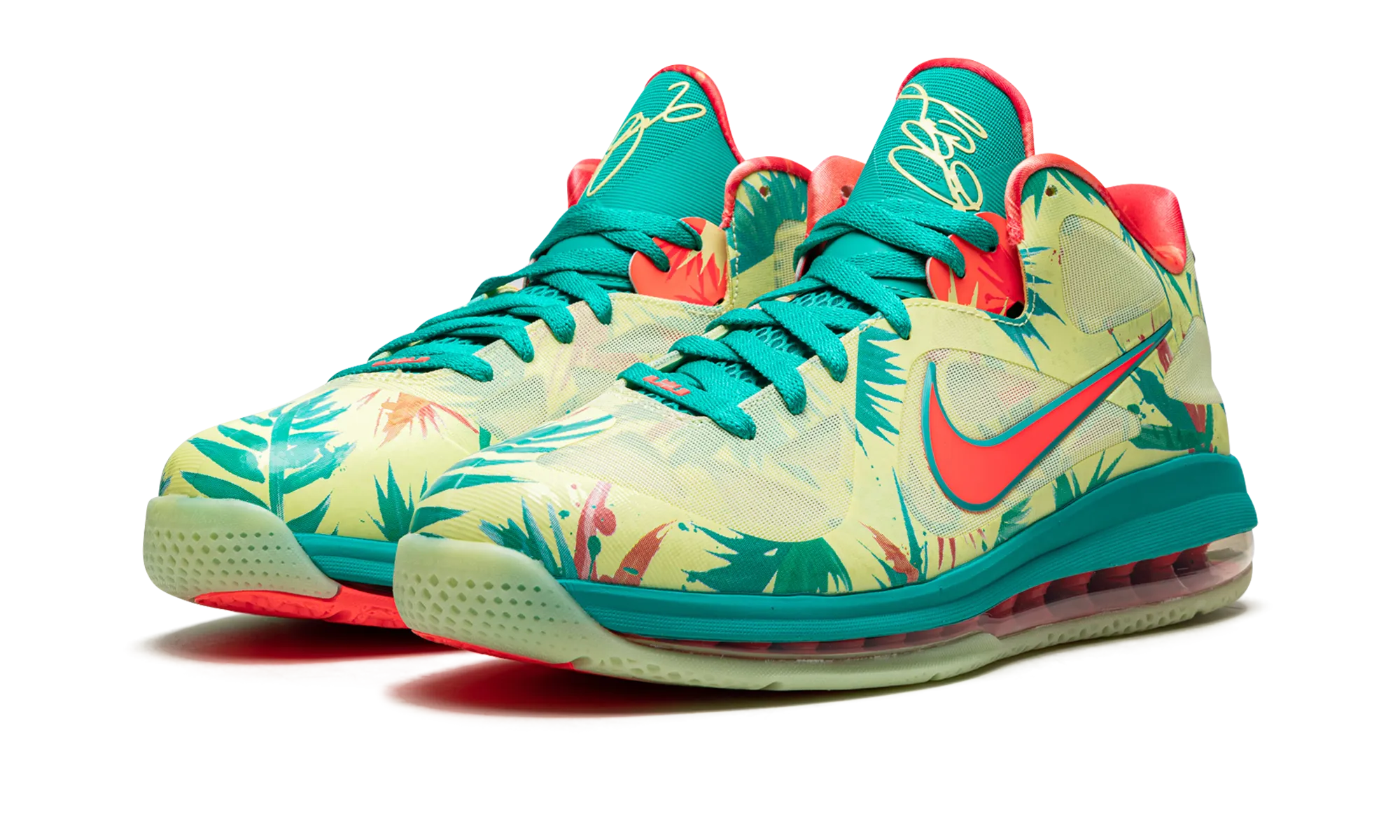Variable Density Cushion LeBron 9 Low "LeBronald Palmer"