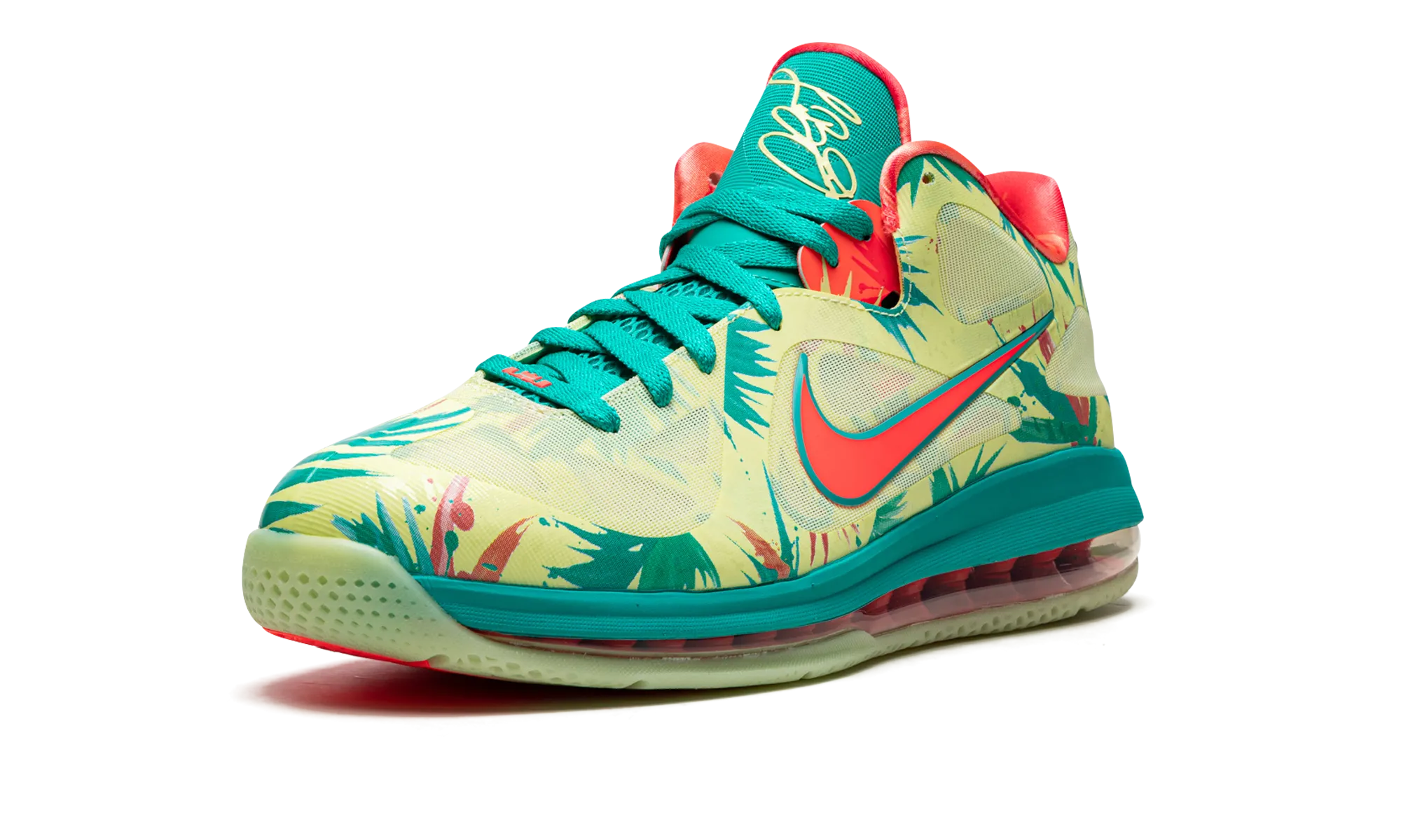 Zipper Closure Zero Pain LeBron 9 Low "LeBronald Palmer"
