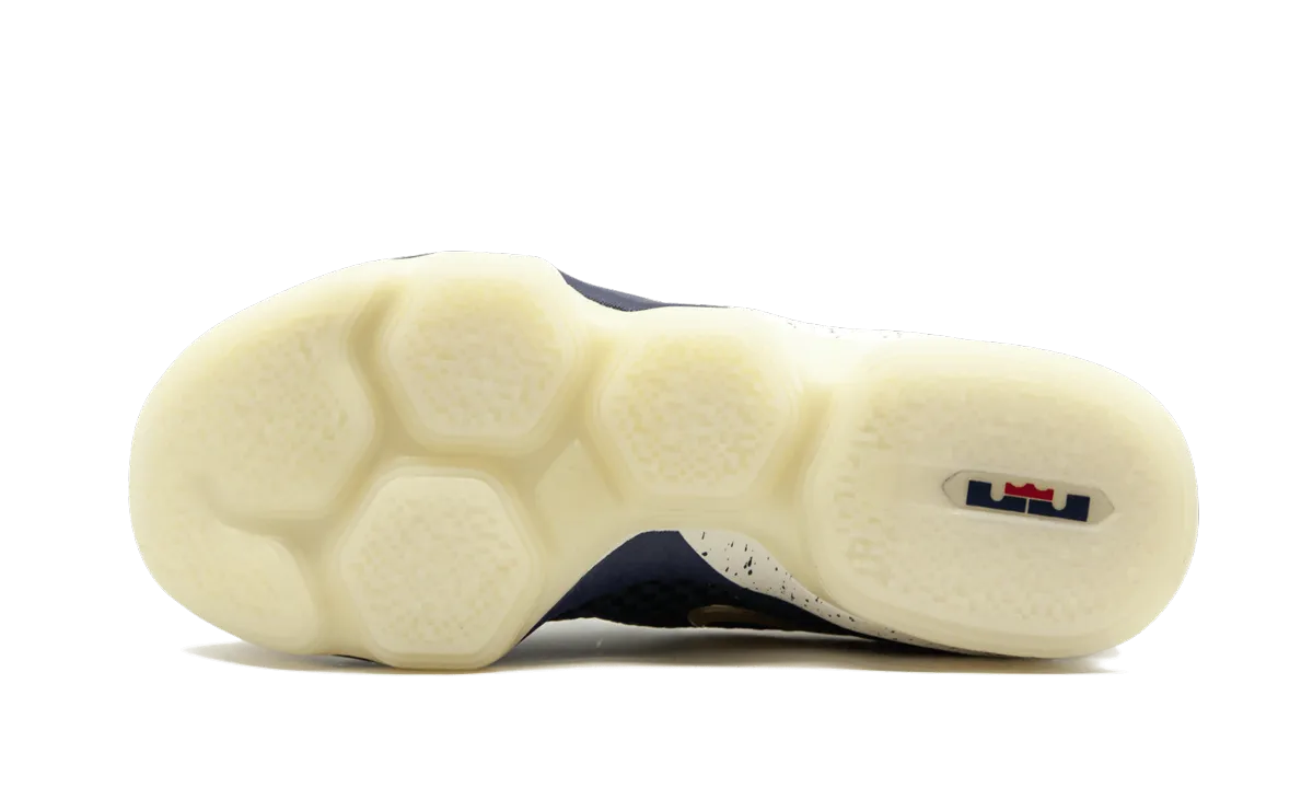 Lebron 14 Low "USA" Multi Layered Cushioning