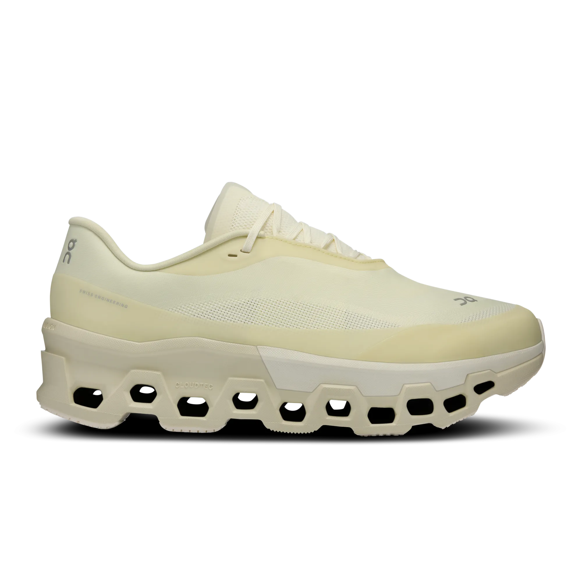 Cloudmonster 2 PAF orthopedic Torsion control