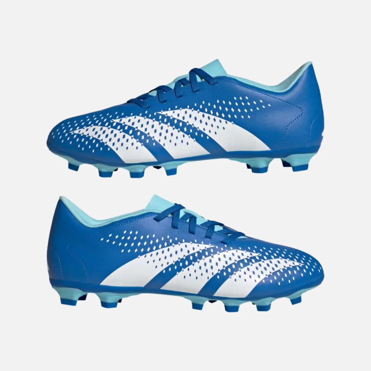 Adidas Predator Accuracy.4 Flexible Ground Football Studs -Bright Royal/Cloud White/Bliss Blue Winter Chill