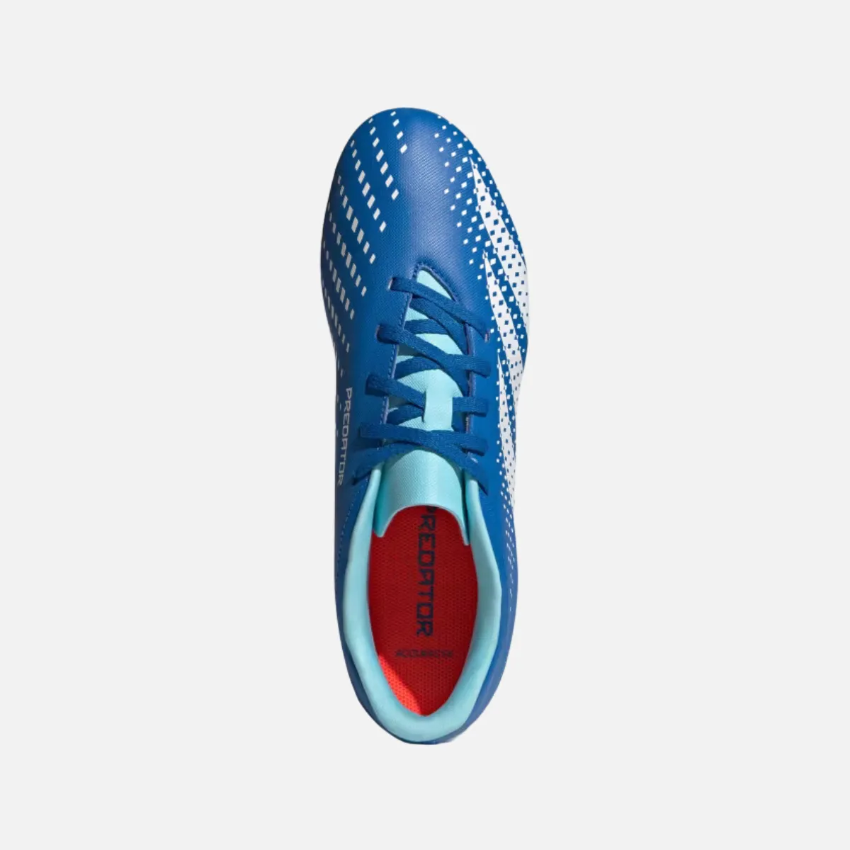 Casual Lace Up Style Adidas Predator Accuracy.4 Flexible Ground Football Studs -Bright Royal/Cloud White/Bliss Blue