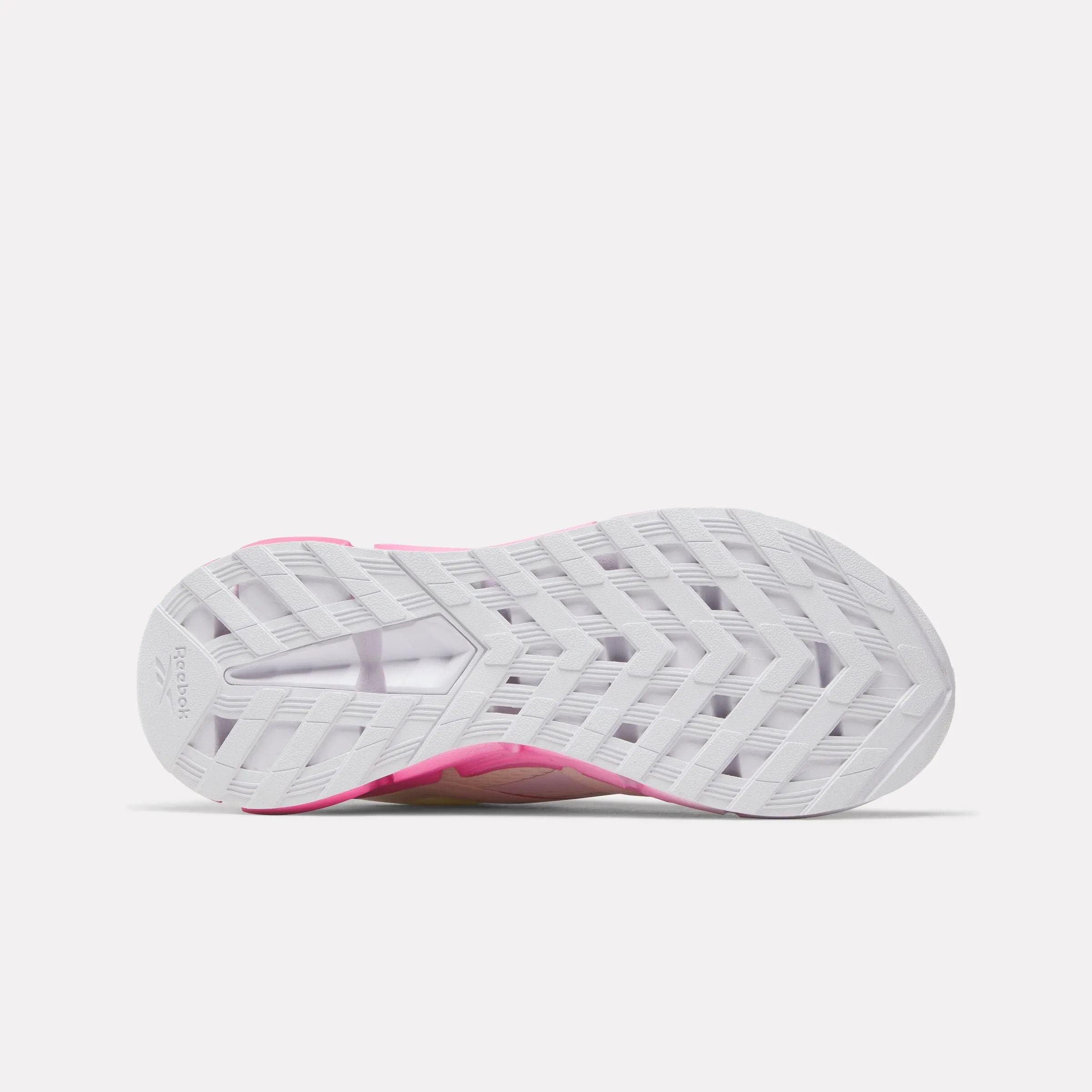 morning Women's Zig Dynamica 5 Shoes