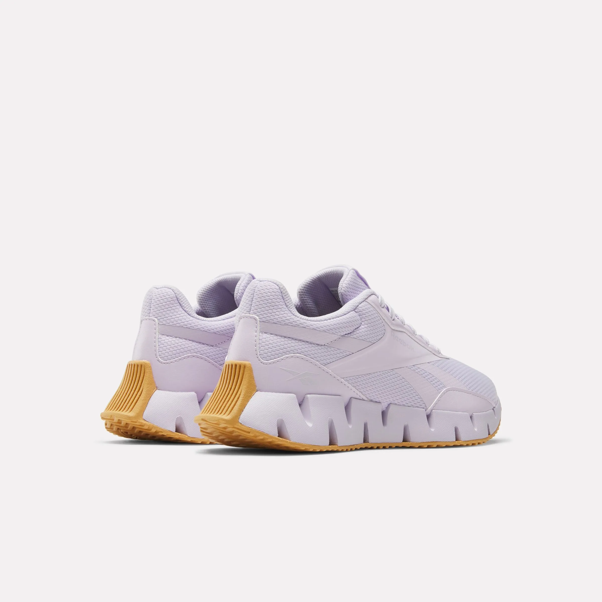 Women's Zig Dynamica STR Running Shoes unpadded - feature shoes