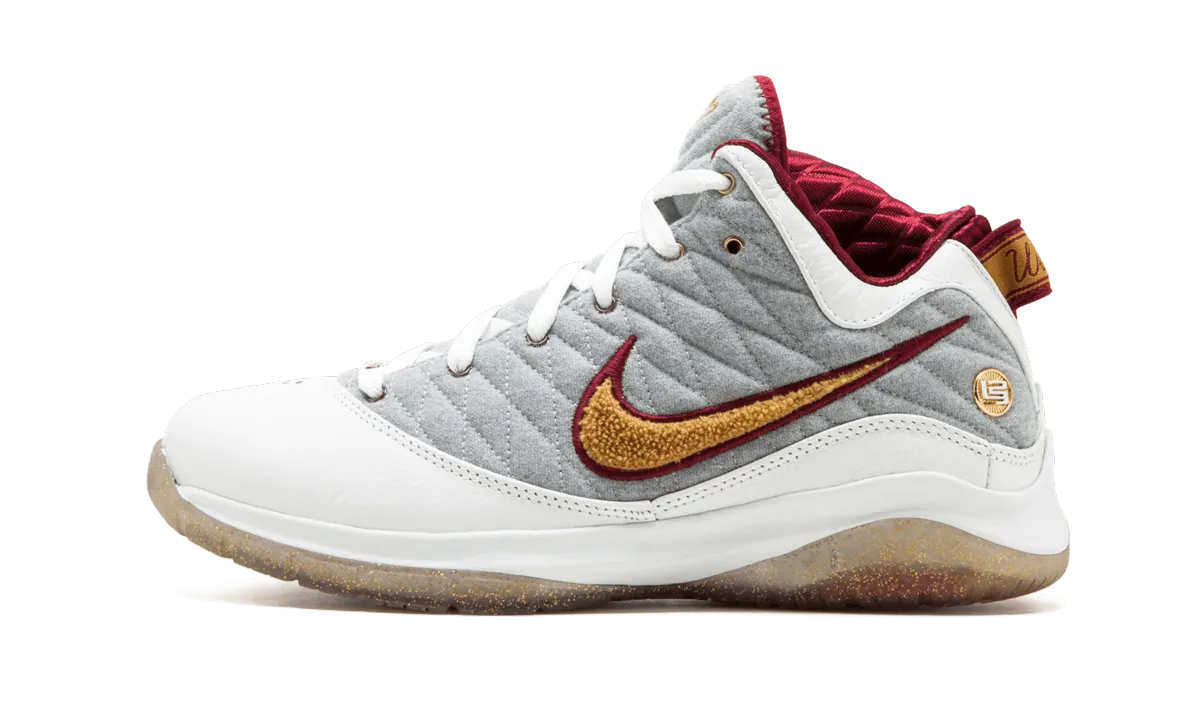 Ergonomic Heel Design Ventilation Technology Lebron VII P.S (POP) "MVP"