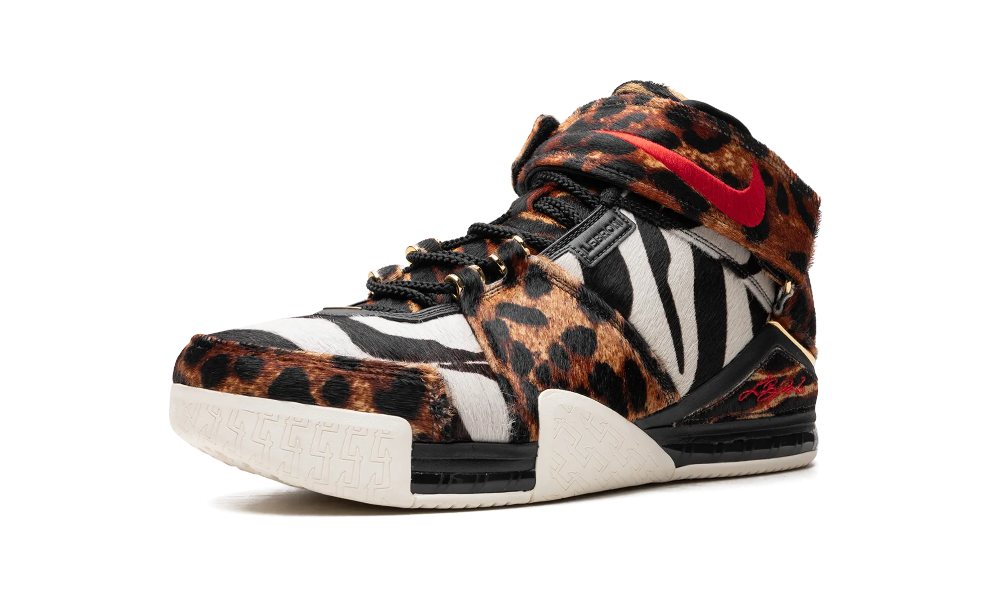 LeBron 2 "Beast" Good Grip Energy Step Transfer