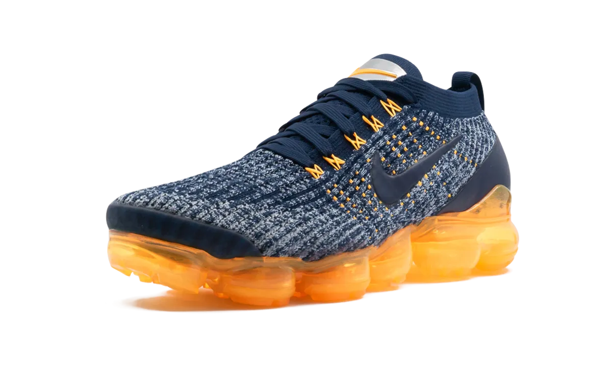single - purpose shoes Air Vapormax Flyknit 3