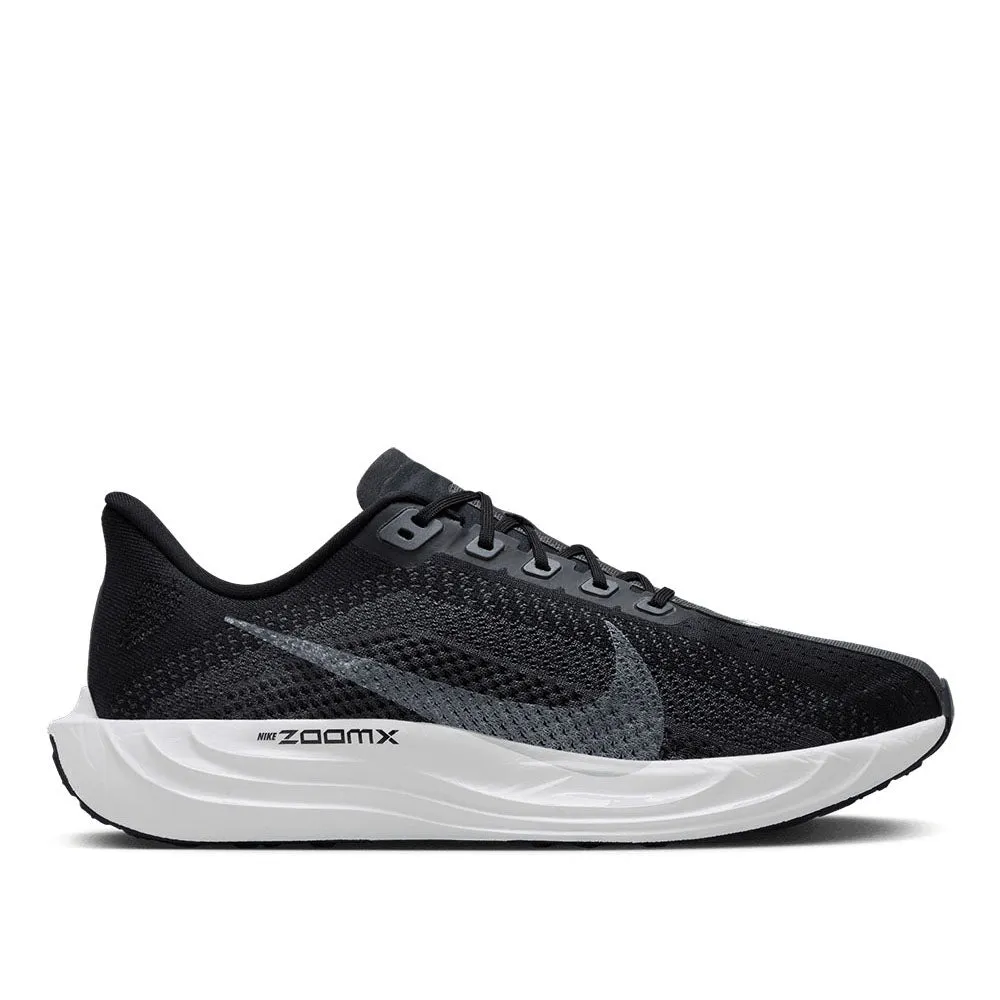 Freeze Proof Hill Tough Nike Men's Pegasus Plus Road Running Shoes
